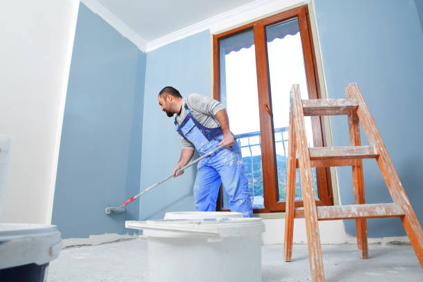 Best Mold Odor Removal Services  in Walnut, IL