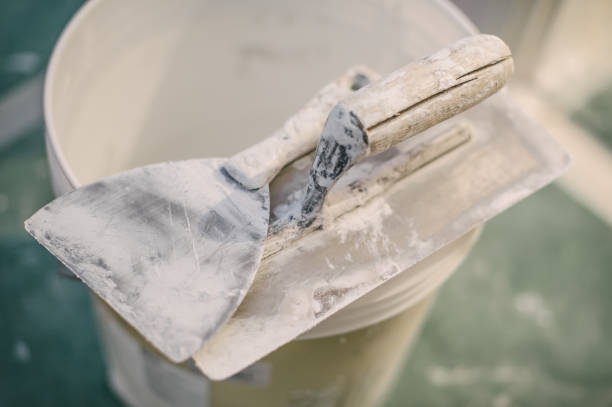 Best HVAC Mold Inspection and Cleaning  in Walnut, IL