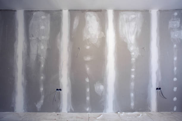 Trusted Walnut, IL Mold Removal Experts